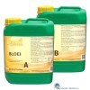 8719172540208 FERRO STANDAARD BLOEI A+B 5 LITER