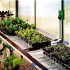 BIO GREEN SAHARA GRONDVERWARMINGSMAT 100 X 100 CM 150W VIERKANT
